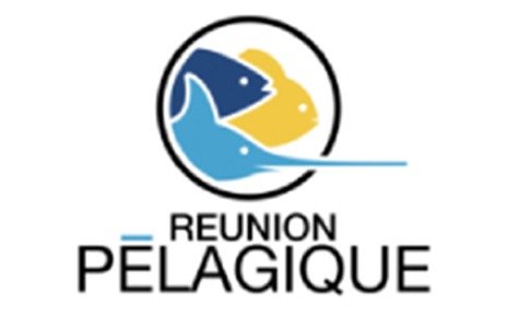 REUNION PELAGIQUE